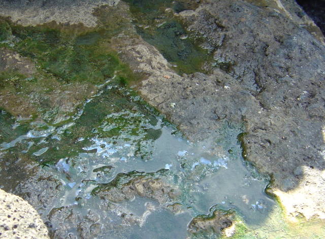 Bonne baignade …. !