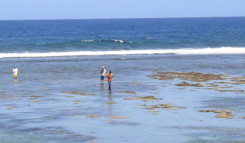 La marche sur le corail