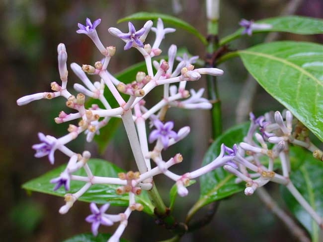 L&rsquo;ONF ne doit pas disparaitre