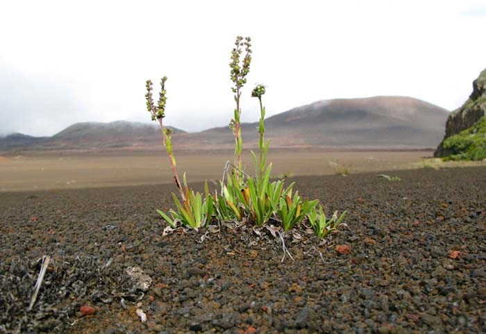 Nous répondons à la Région « Merci grand Maître »