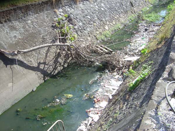 Pollution chronique Saint-Pierre