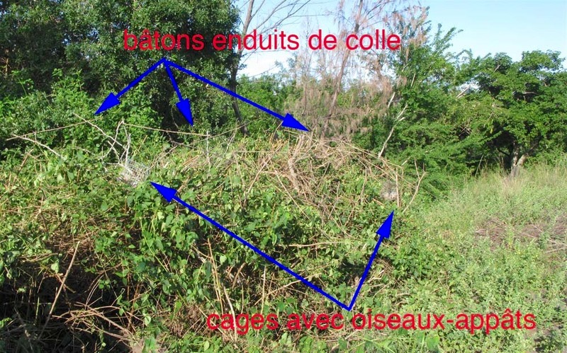 Bravo à la Brigade de la Nature anti-braconnage