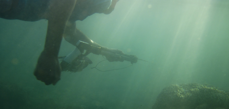 Lagon de Saint-Pierre toujours en danger !