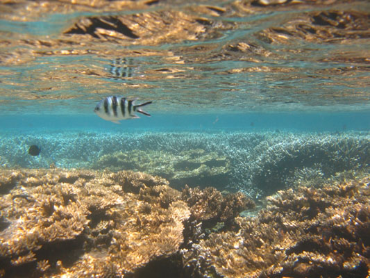 Le lagon de Saint Pierre