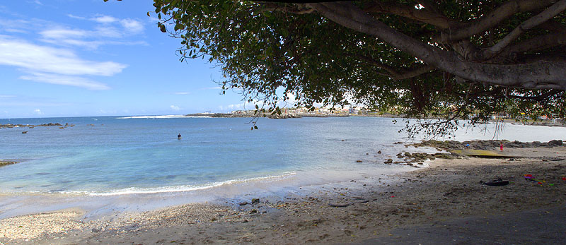 Terre-Sainte Saint-Pierre de la Réunion