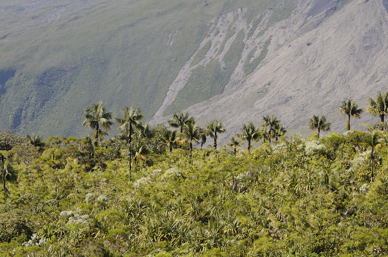 lo parc national koz pa klèr