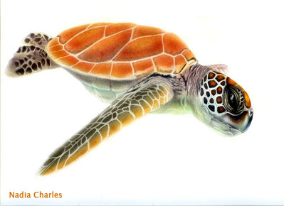 Coup de coeur artistique