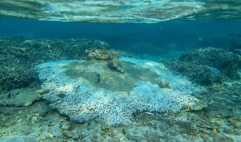 Triste lagon de Saint-Pierre en août 2014 après la houle.