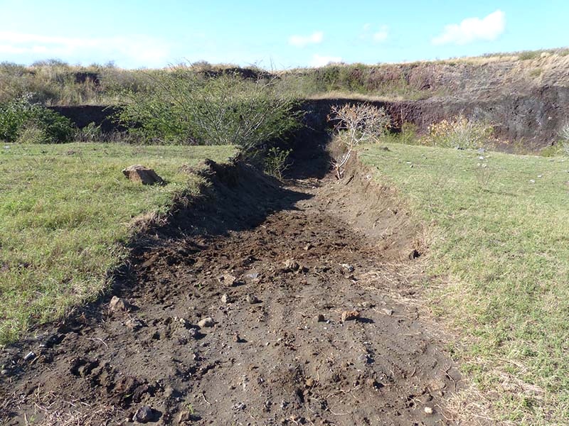 Mais que fait à nouveau l&rsquo;ONF en forêt d&rsquo;Etang-Salé ?