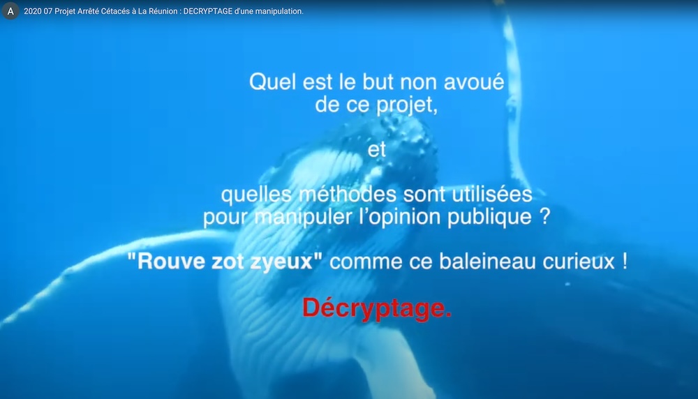 Arrêté Cétacés 2020 : l&rsquo;arrêté du mépris ou l' »eskrologie » en marche.